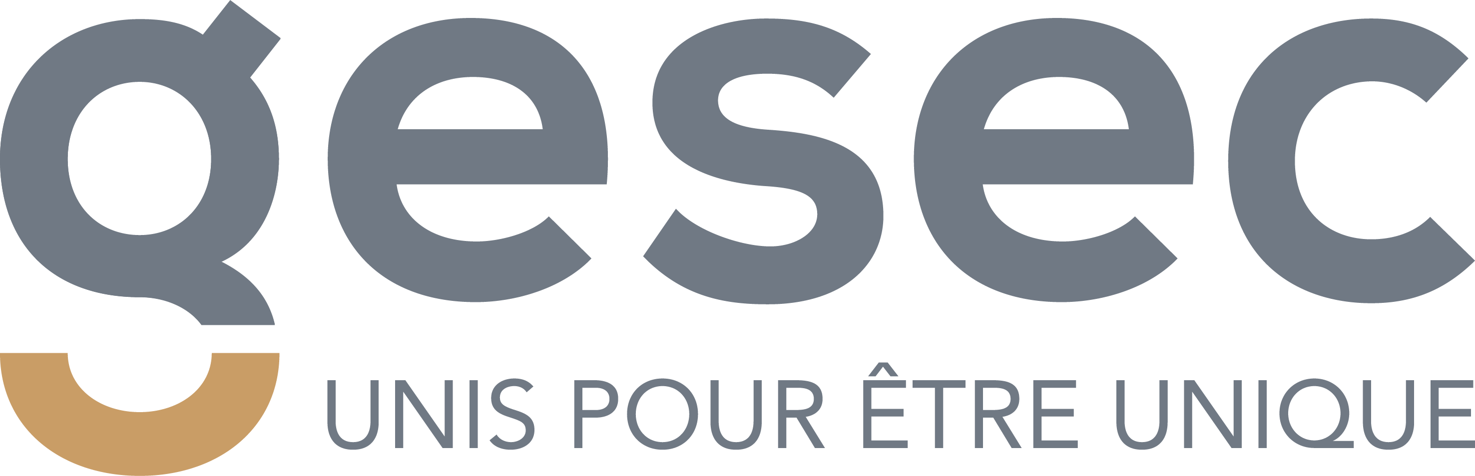 GESEC-logo